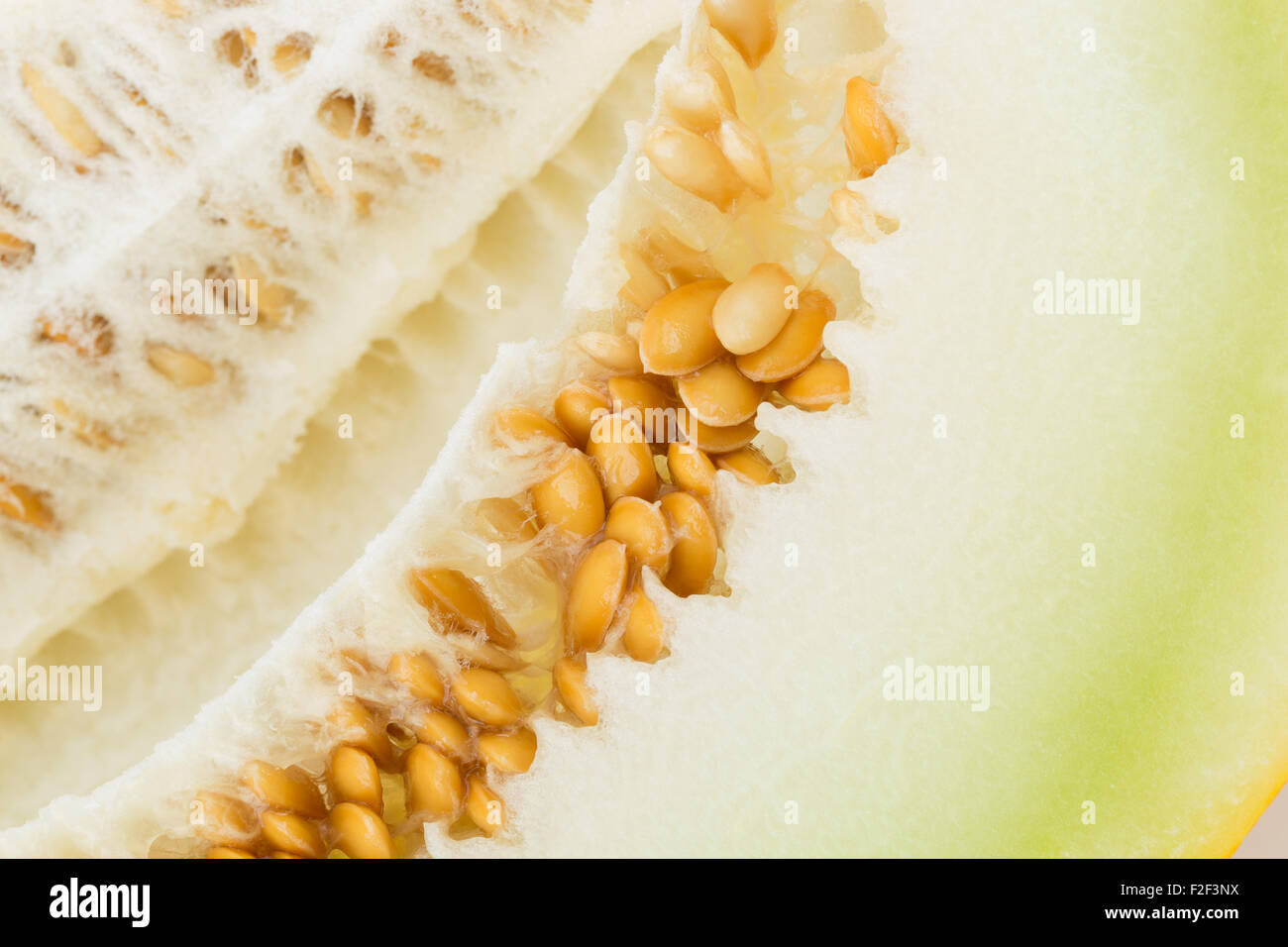 close up of melon. Stock Photo