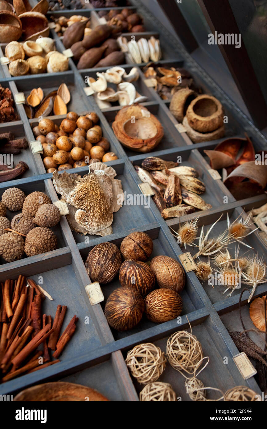 Stall of spices, dried flowers and seeds Stock Photo Alamy