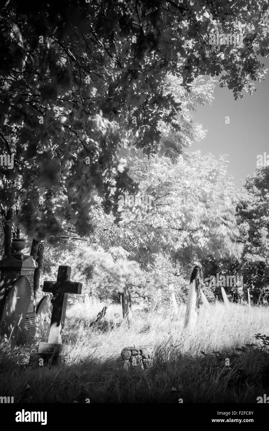 A view of Kingston Cemetery Stock Photo Alamy