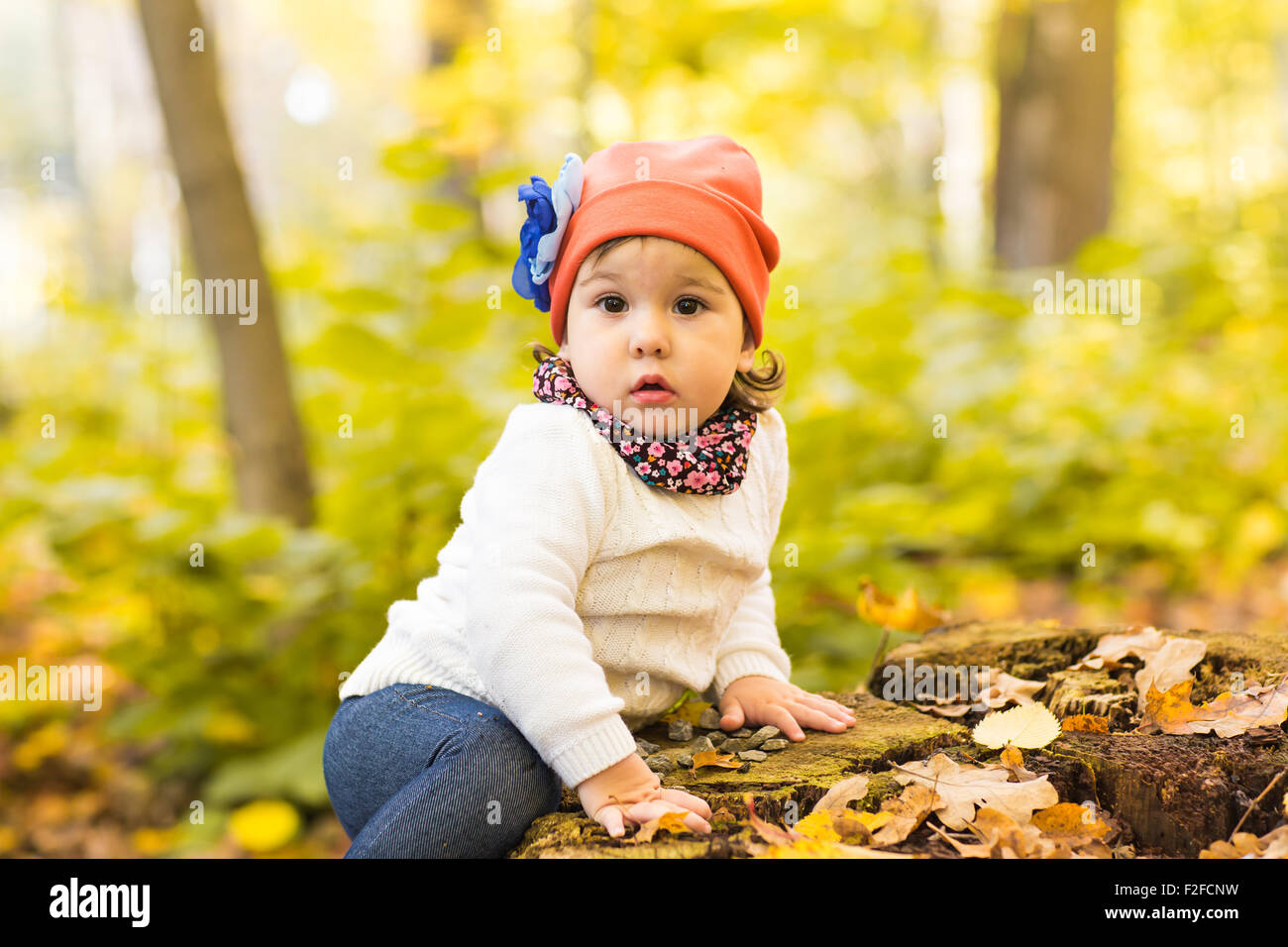 Cheerful little girl on a stump in the woods of autumn park Stock Photo ...
