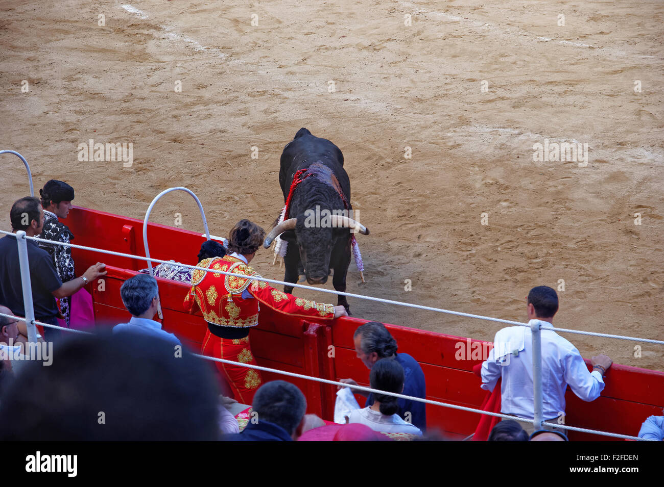 BARCELONA, SPAIN - AUGUST 01, 2010:The bull stares at the torero during a bullfight held at the Plaza Monumental de Barcelona (L Stock Photo