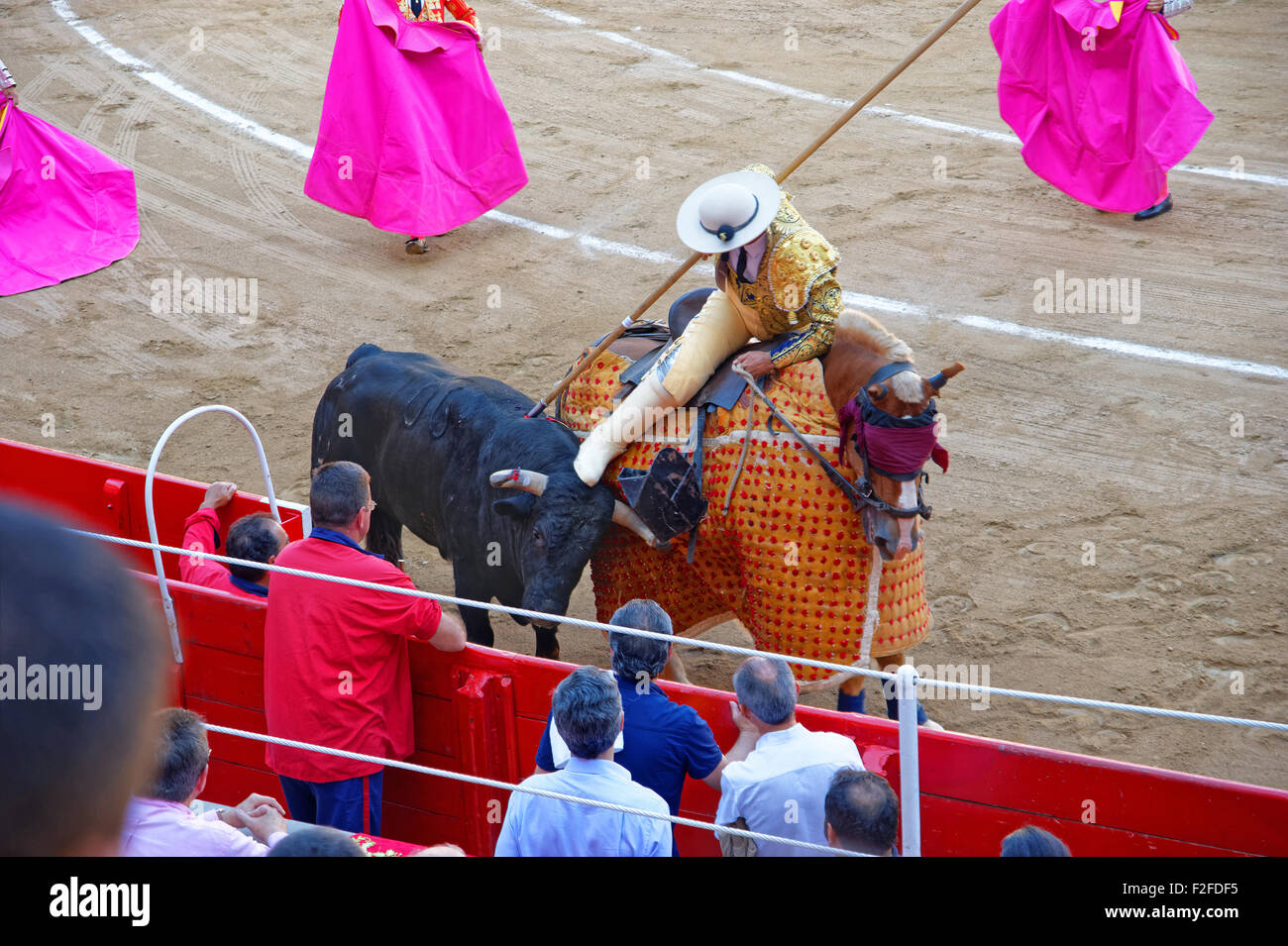 Spanish matador is wounding the bull at the arena of Plaza Monumental de Barcelona (La Monumental) during a bullfight (corrida)  Stock Photo