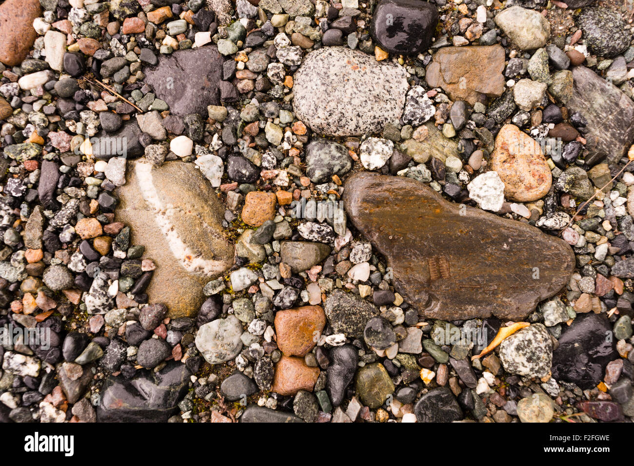 A wide variety of rocks make up the ground at river's edge in Alaska Stock Photo