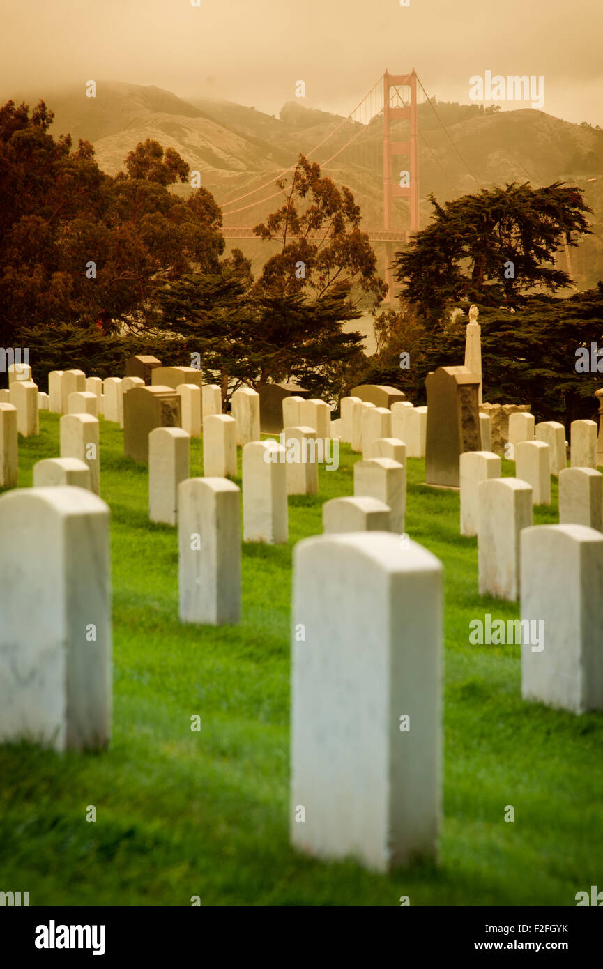 Scenic view of graves in San Francisco National military cemetery with Golden Gate bridge in background, California, U.S.A. Stock Photo
