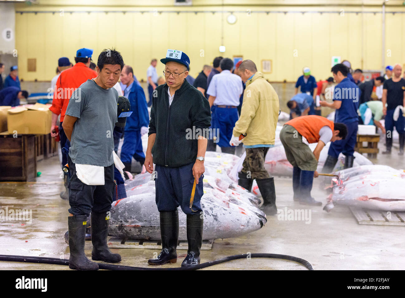 TOKYO, JAPAN - AUGUST 1, 2015: Prospective buyers inspect tuna displayed at Tsukiji Market. Tsukiji is considered the world's la Stock Photo