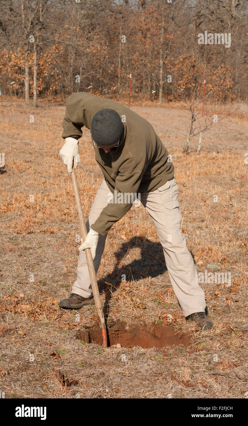 man-digging-a-hole-in-the-ground-to-plant-a-tree-in-early-spring-F2FJCH.jpg