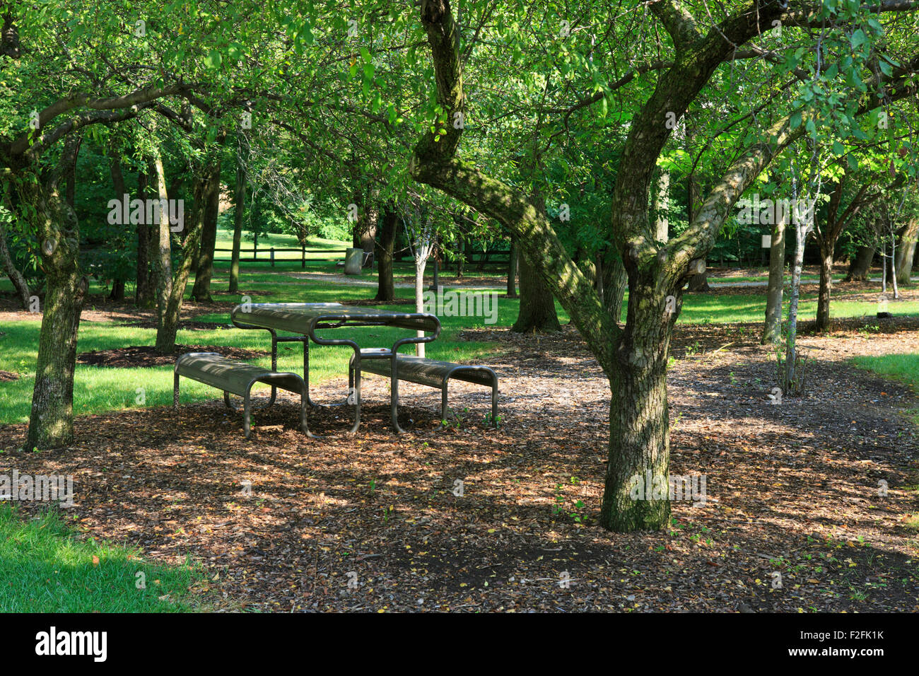 Picnic bench in park Stock Photo