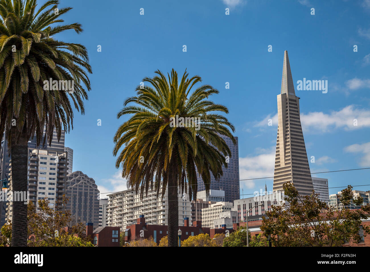 Transamerica building viewed from the Embarcadero, San Francisco, California, USA Stock Photo
