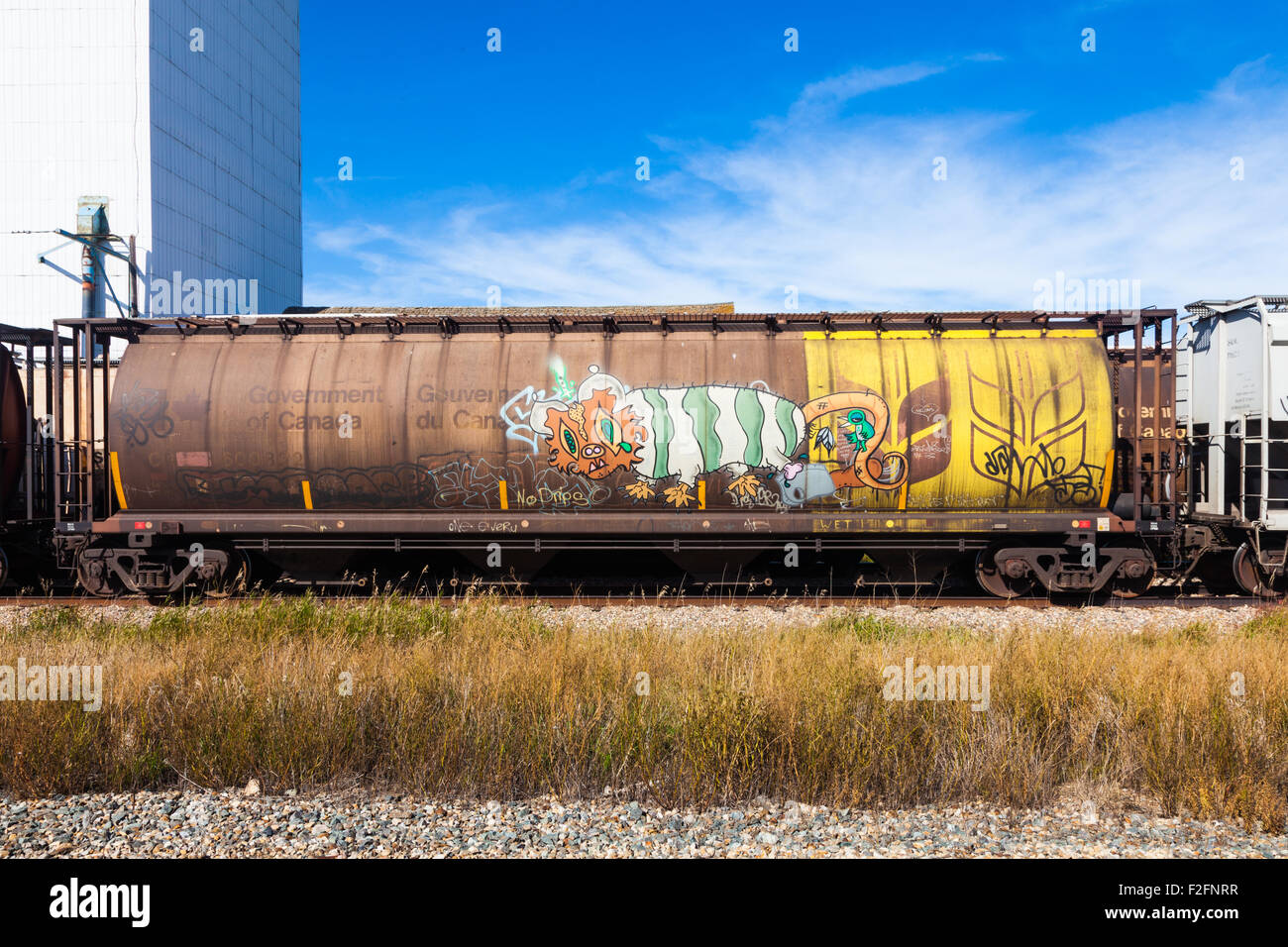 Grain elevators and railway cars ready to load wheat in the town of Killam, Alberta Stock Photo