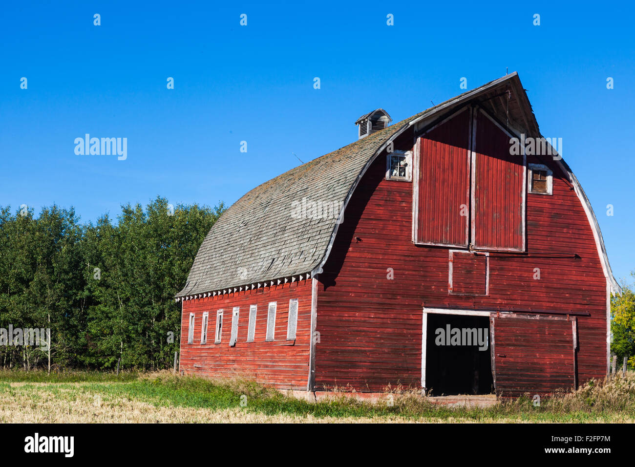 Red wooden barn in a field near the town of Leduc in Alberta Stock Photo
