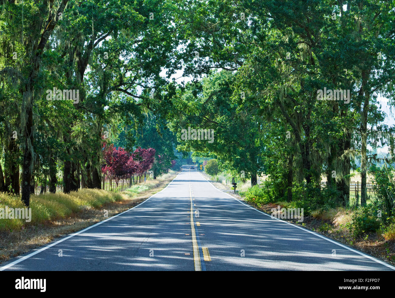 Alexander Valley road in Sonoma Valley, California Stock Photo Alamy