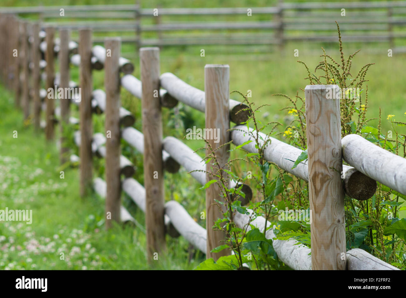 Cattle pens hi-res stock photography and images - Alamy