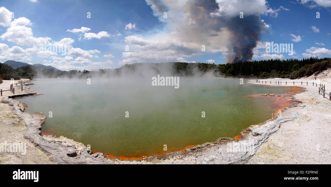 Forest fire in the Wai-o-Tapu geothermal area in Rotorua, North Island, New Zealand Stock Photo