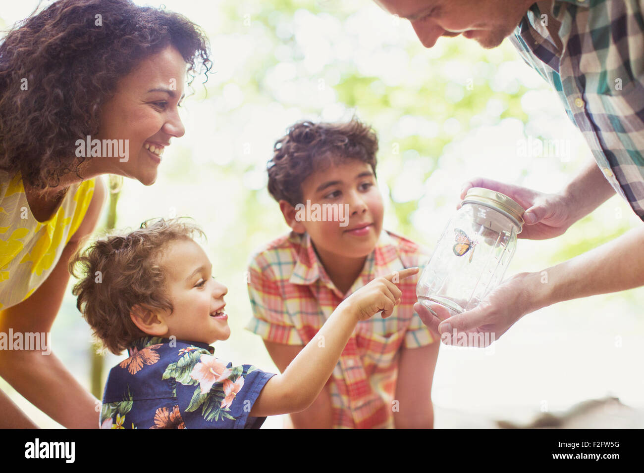 Family watching butterfly in jar Stock Photo