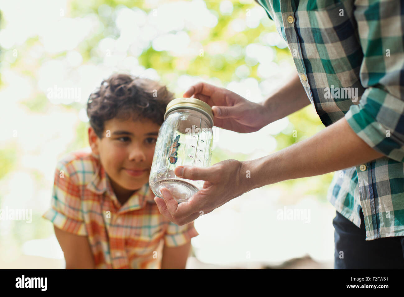 Father and son watching butterfly in jar Stock Photo