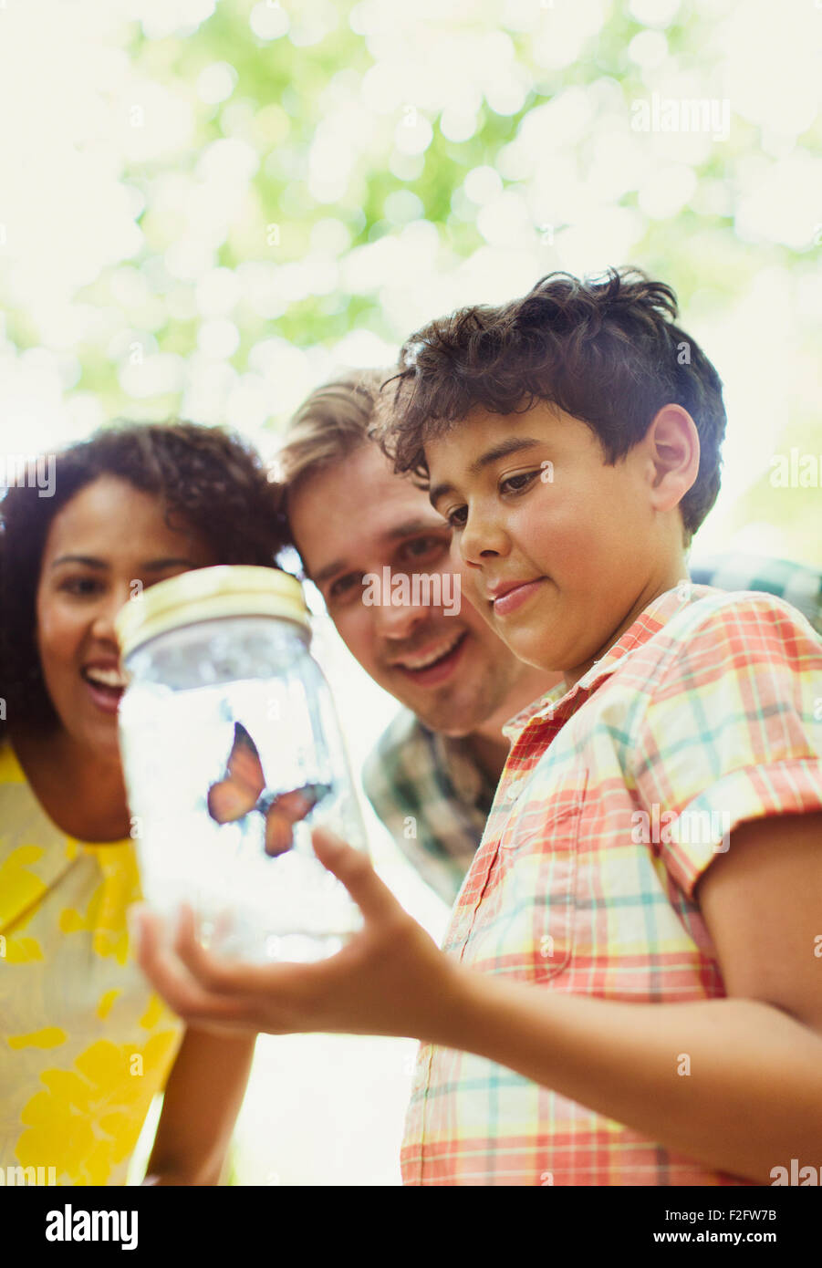 Family watching butterfly in jar Stock Photo