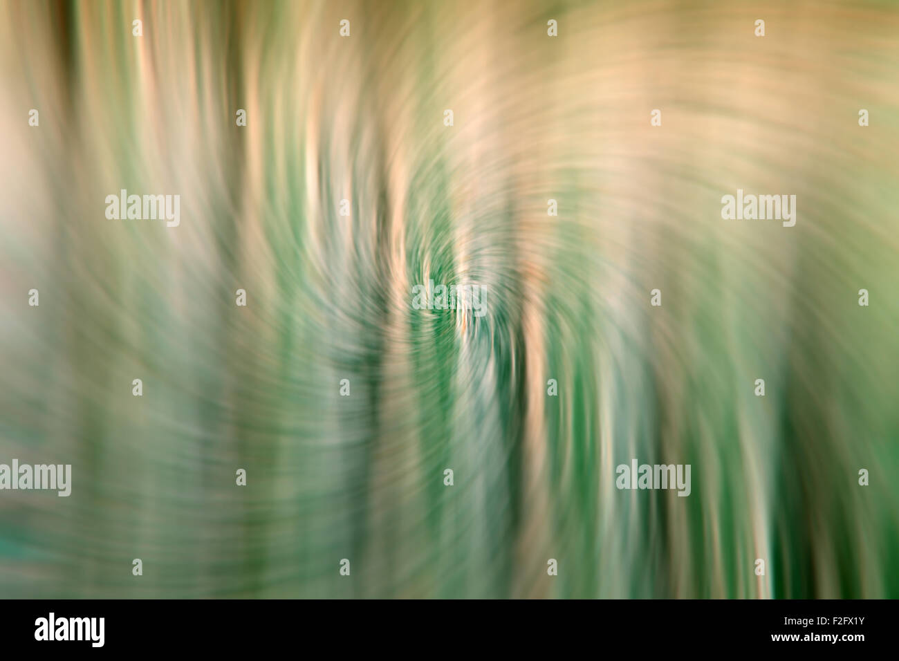 Twirl swirl abstract green background Stock Photo