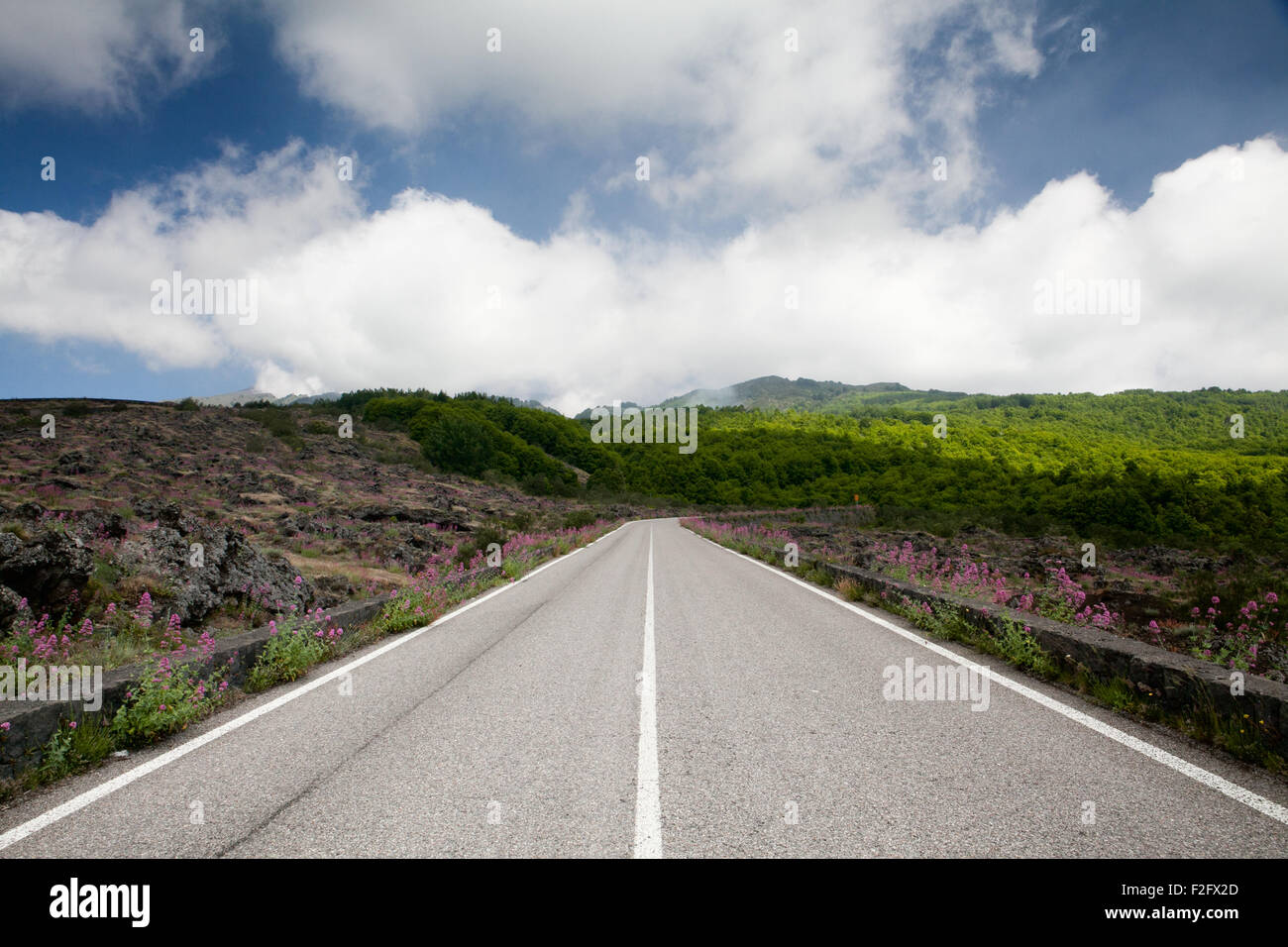 Road blue sky with white clouds and green landscape Stock Photo