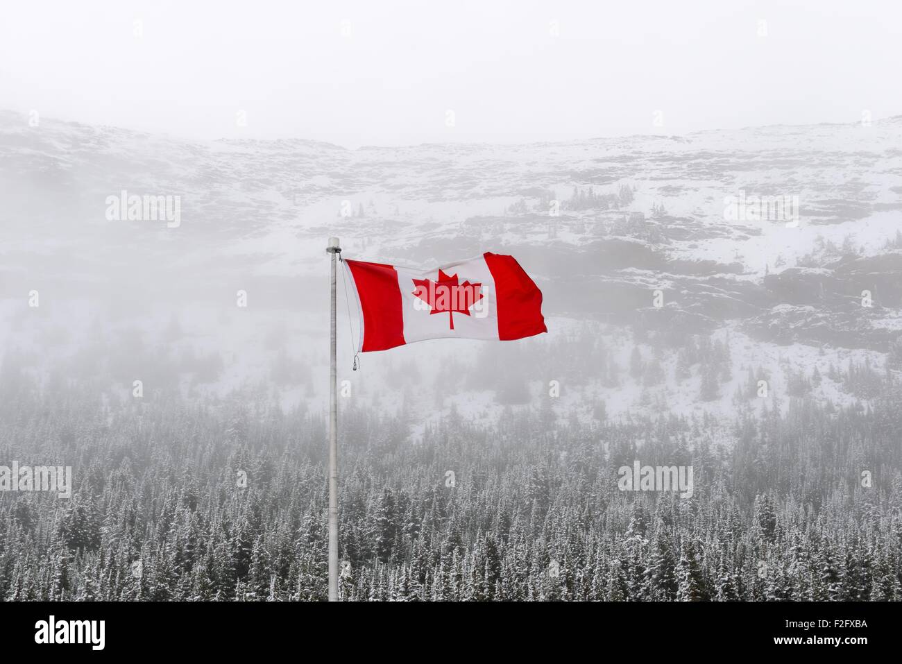 The Canadian national flag flying in the stiff wind during a snow shower in the Rocky mountains, Canada Stock Photo