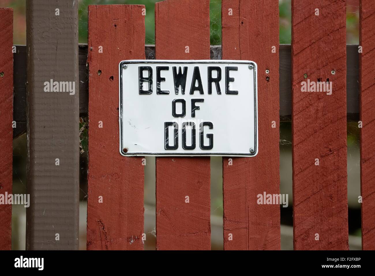 Beware of the dog warning sign on garden gate.in the UK Stock Photo