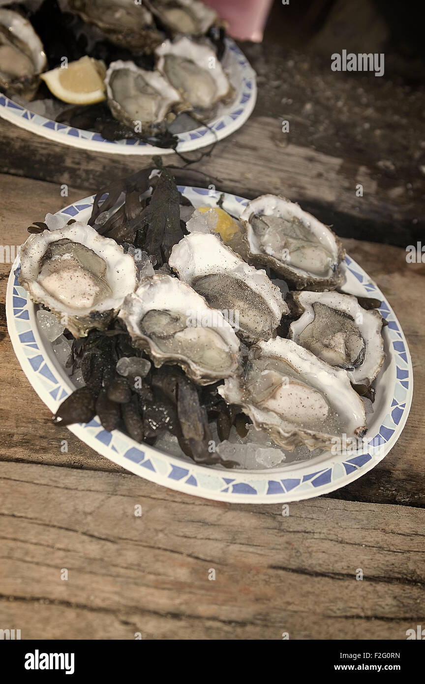 Whitsable Oysters Stock Photo