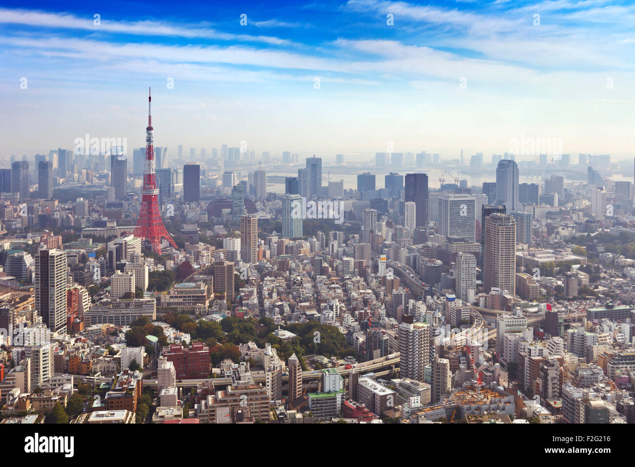 The skyline of Tokyo, Japan with the Tokyo Tower photographed from above. Stock Photo