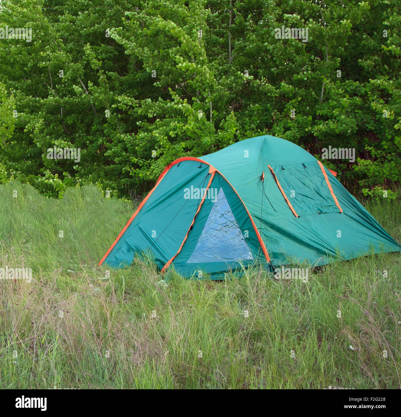 Camping tent in the forest Stock Photo - Alamy