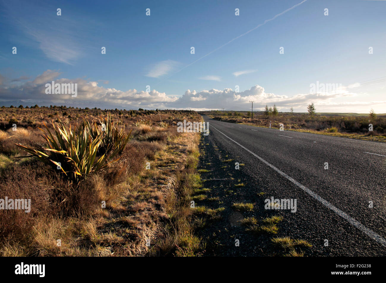 Road  in the Tongariro National Park, Manawatu-Wanganui, New Zealand Stock Photo