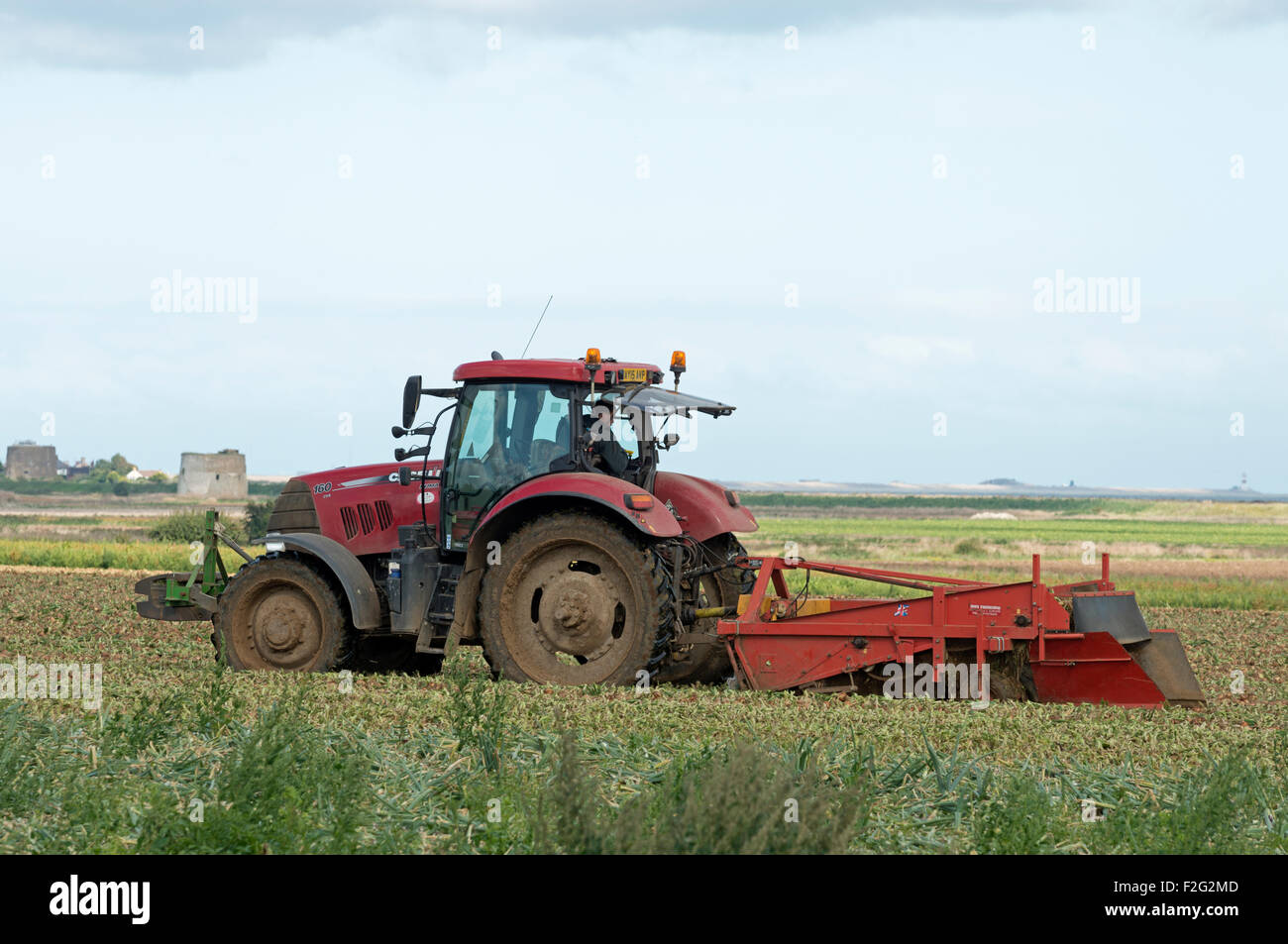 Onion towers hires stock photography and images Alamy
