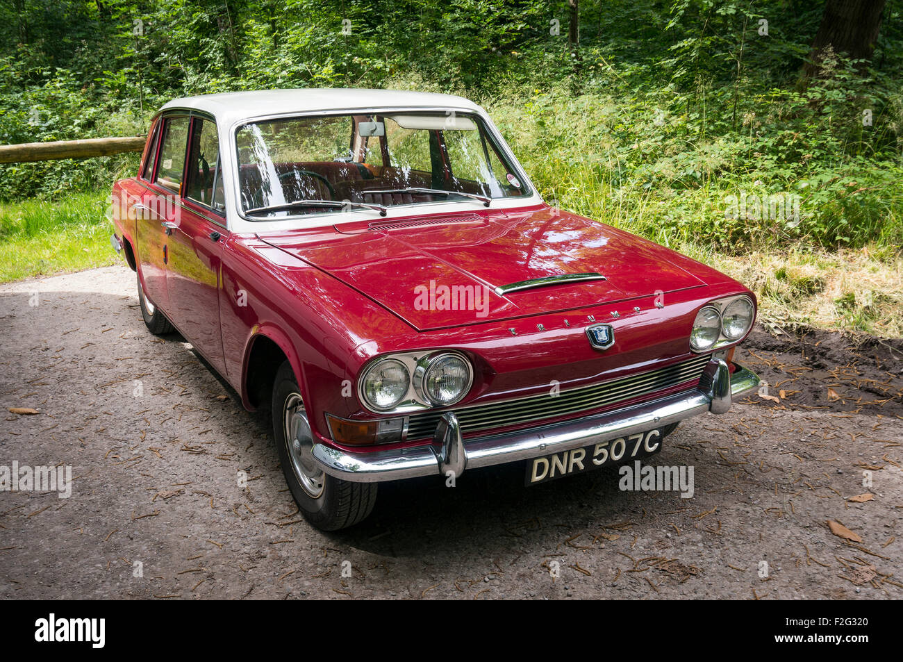 Nice example of a classic 1965 Triumph 2000 in Savernake Forest near Marlborough, Wiltshire, UK Stock Photo