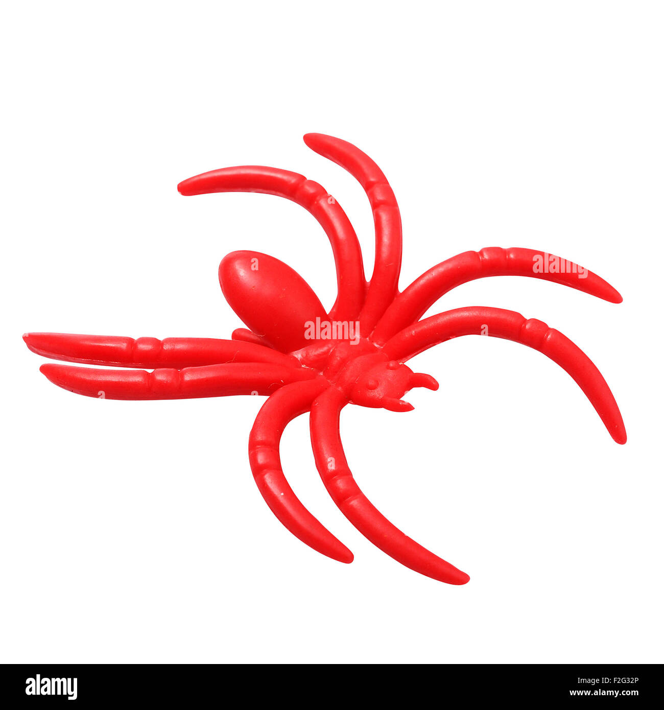 Close up of Halloween red spider isolated on white background by clipping path Stock Photo