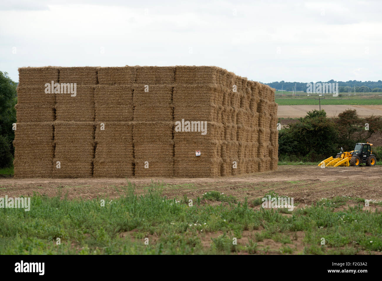 Giant straw bales stacked on a field, Bawdsey, Suffolk, UK. Stock Photo