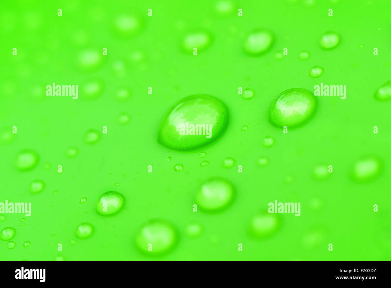 Water drops on green surface, macro with selective focus Stock Photo