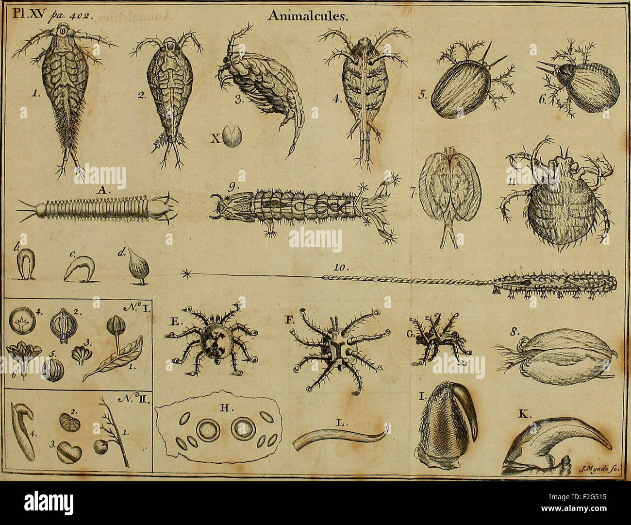 Parts Of A Microscope High Resolution Stock Photography and Images - Alamy