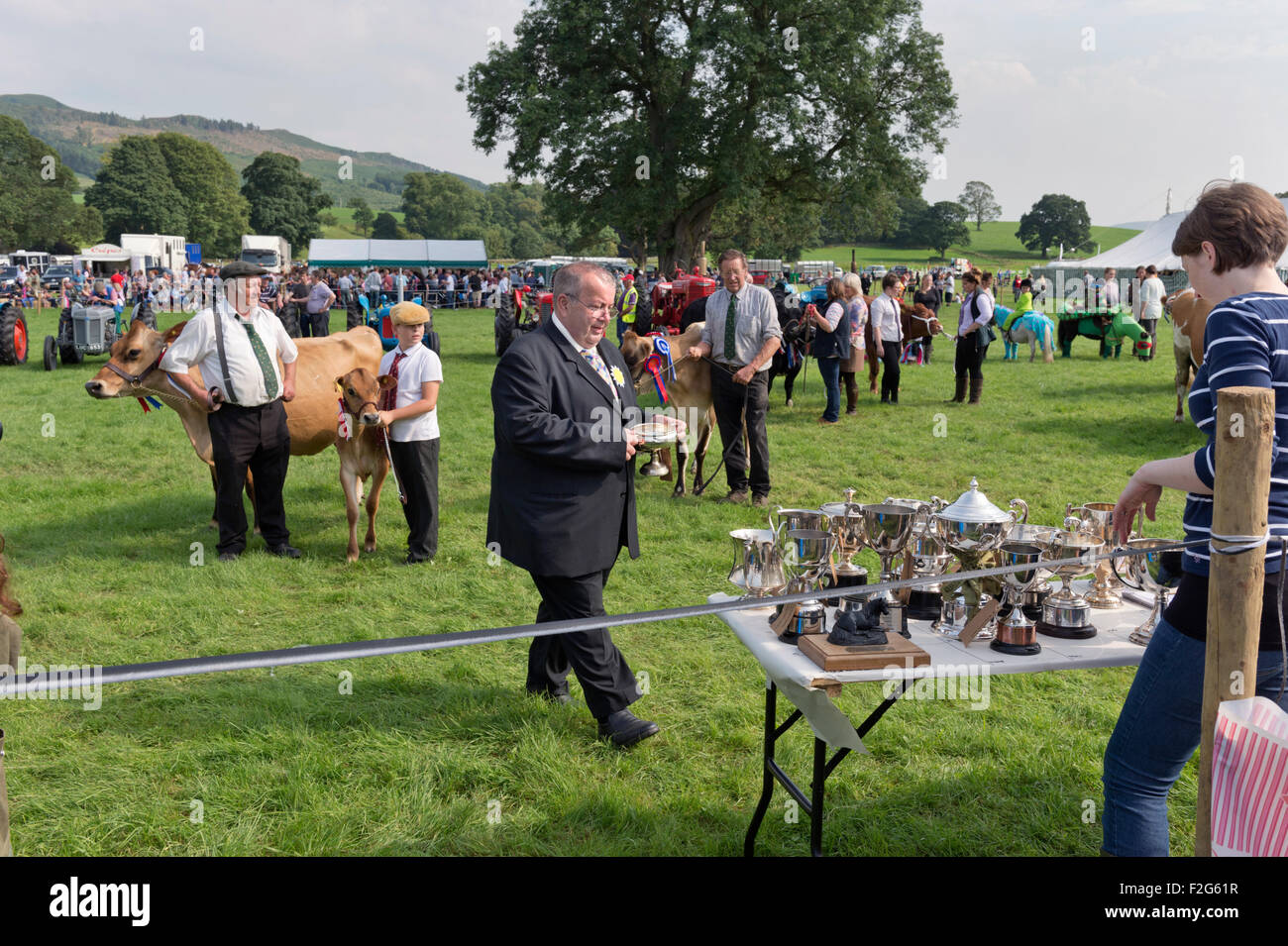 Cattle prizes being presented, Gargrave Show, North Yorkshire, 2015 Stock Photo