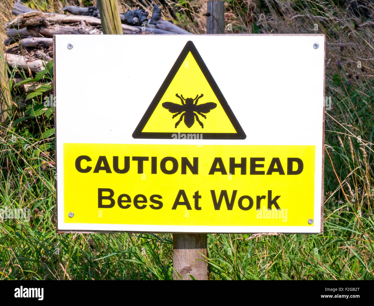 Warning Sign placed near bee hives "Caution Ahead Bees At Work Stock