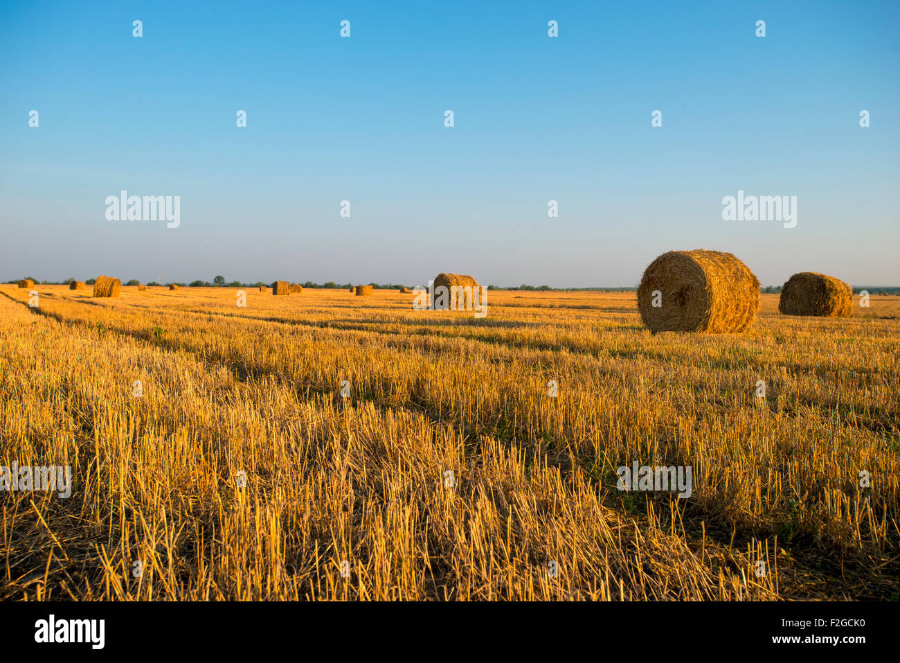 Rural landscape with straw rolls Stock Photo - Alamy