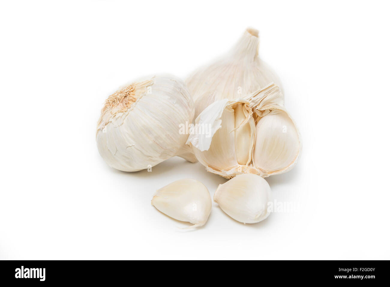 Garlic bulb and single cloves isolated on white Background Stock Photo ...