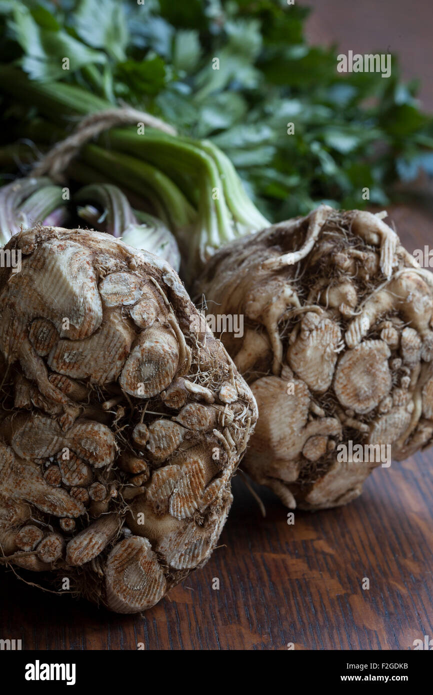 Celery root or celeriac, showing its root and with stalk and greens attached Stock Photo