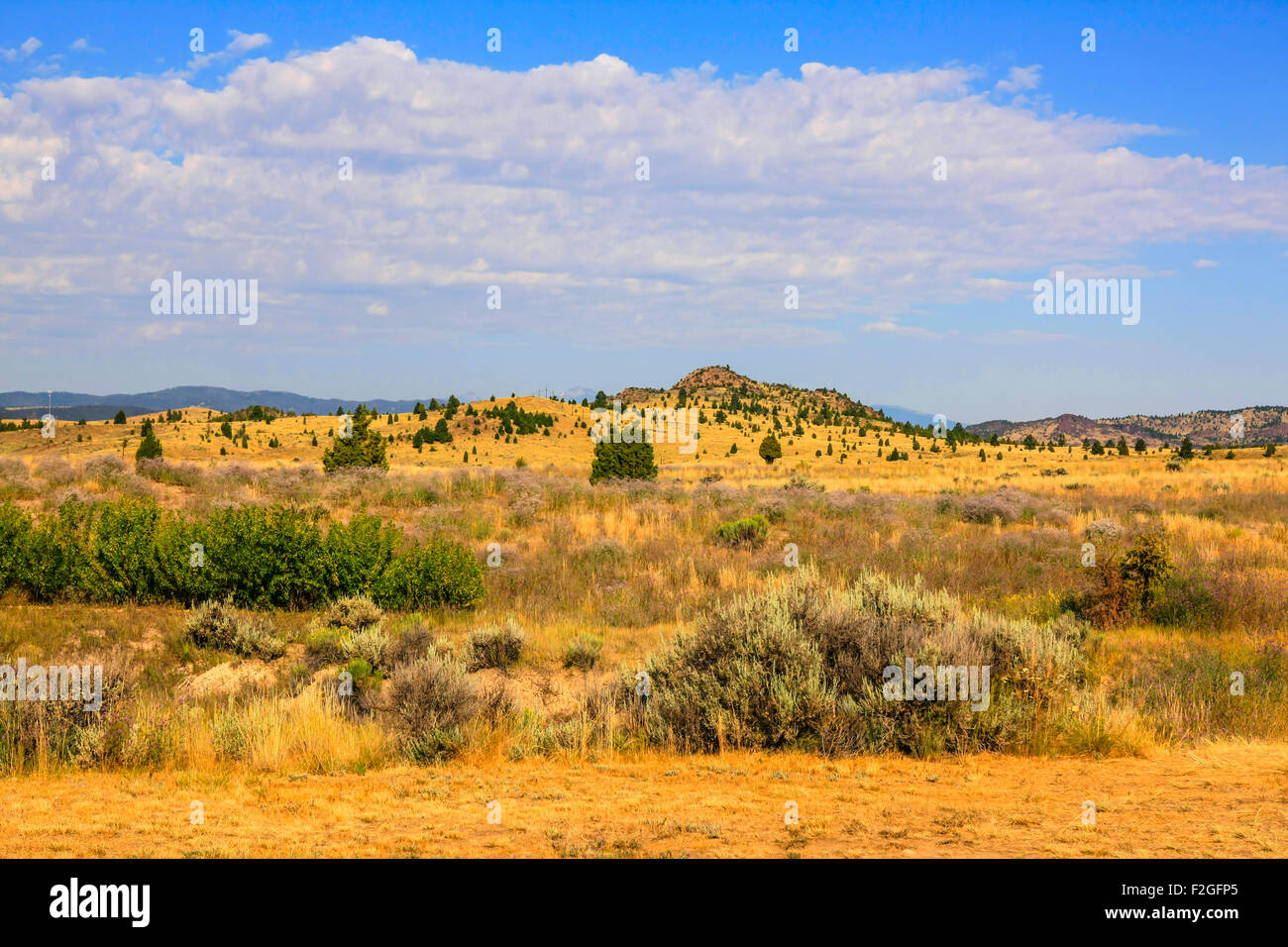 The sagebrush plains of Montana, the State nicknamed 'Big Sky Country' for one reason.... Stock Photo