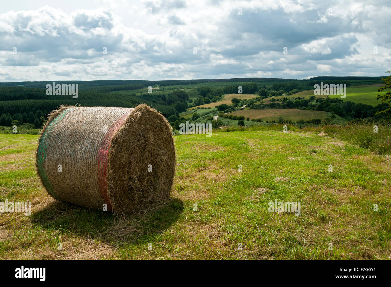 Hay bale above the valley of May Beck, North Yorkshire Moors, Yorkshire, England, UK Stock Photo