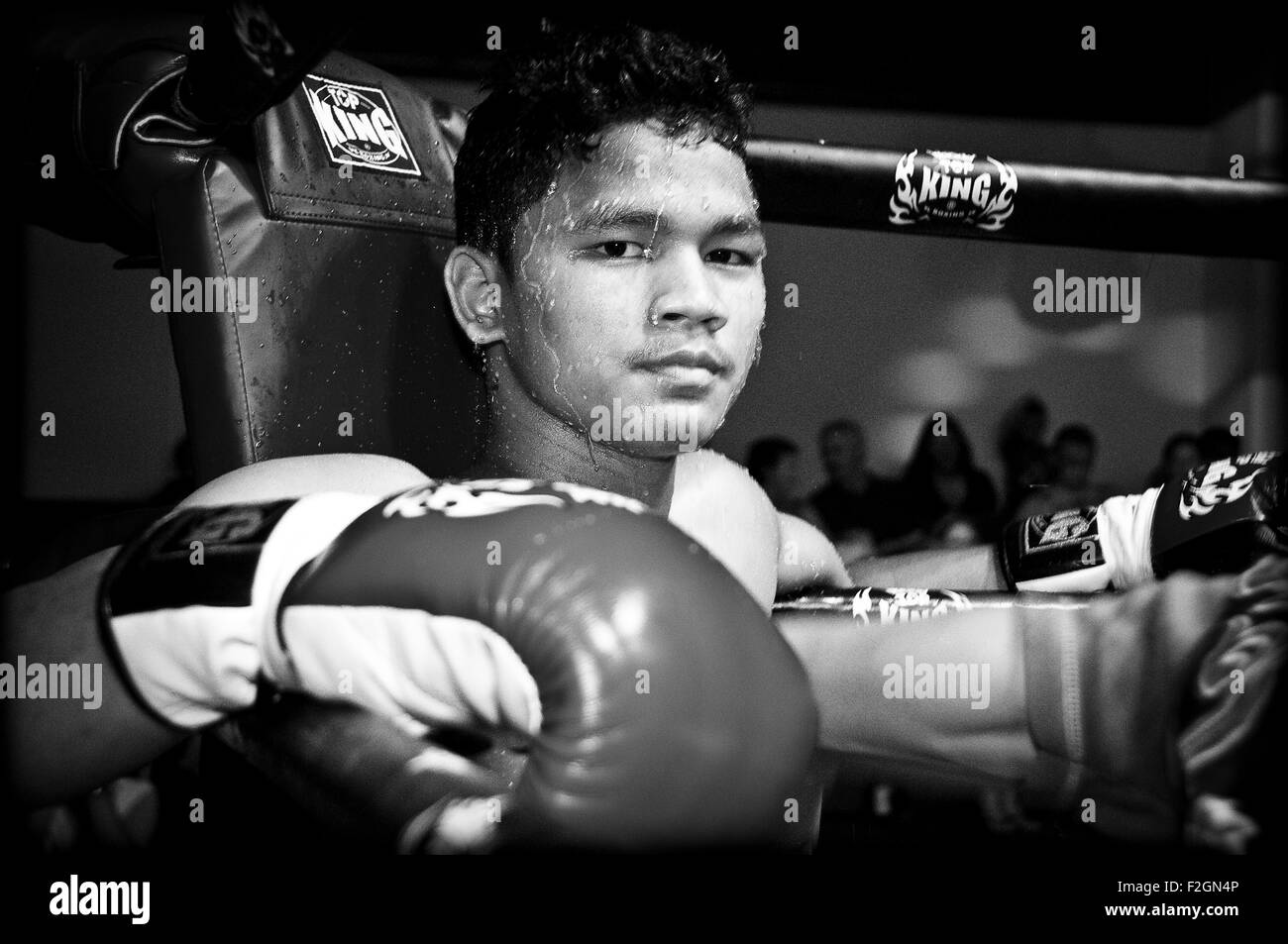 Muay Thai fight in Thailand boxing stadium Stock Photo Alamy