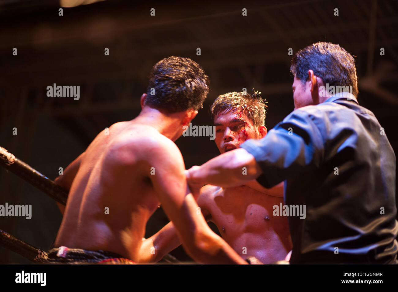 Muay Thai fight in Thailand boxing stadium Stock Photo Alamy