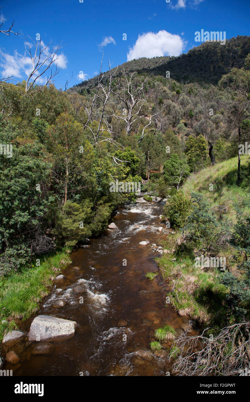 Elevated view of the free-flowing Snowy River Kosciuszko National Park NSW Australia Stock Photo