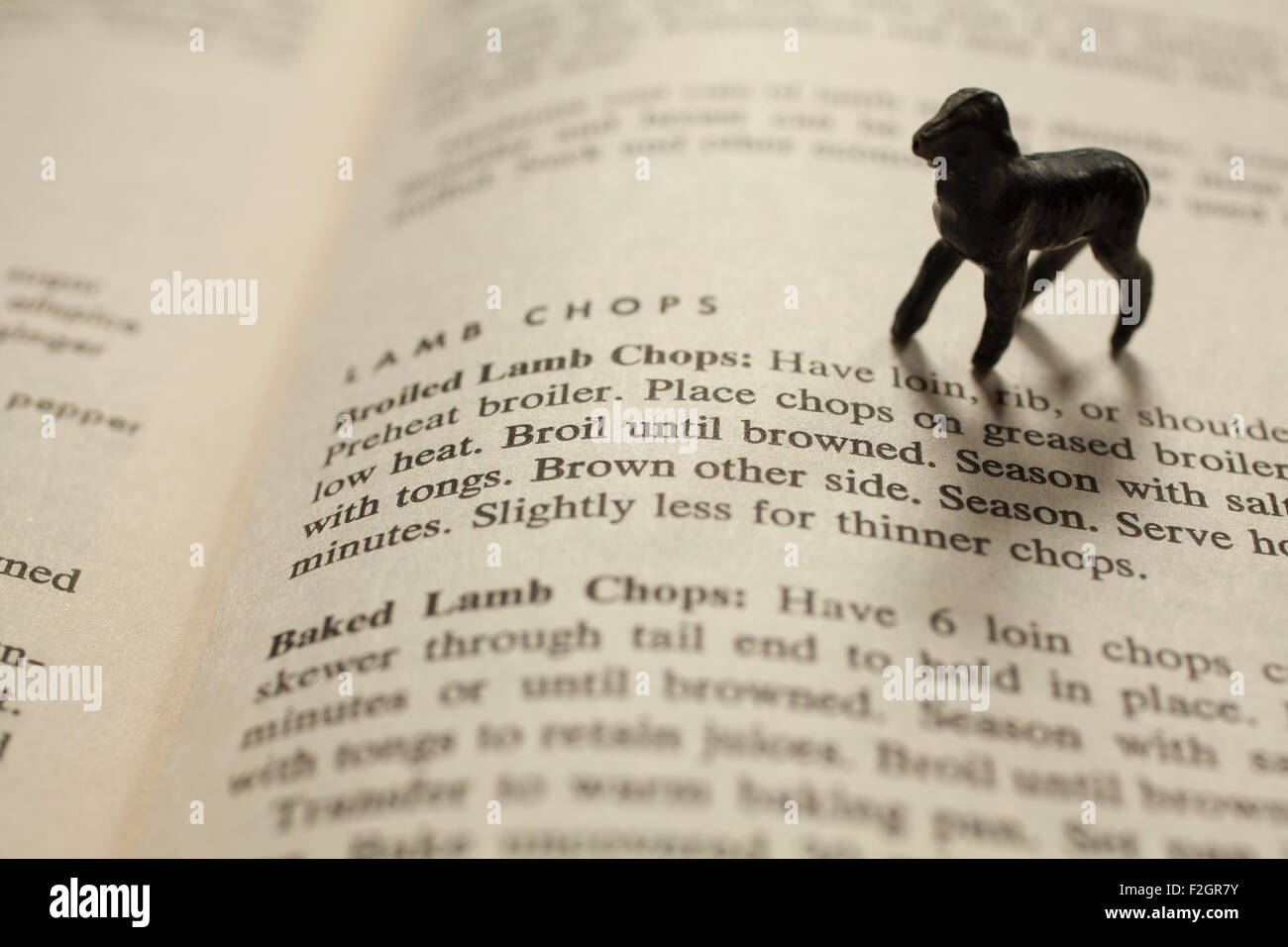 An antique lead toy lamb prances on an old cookbook. Stock Photo
