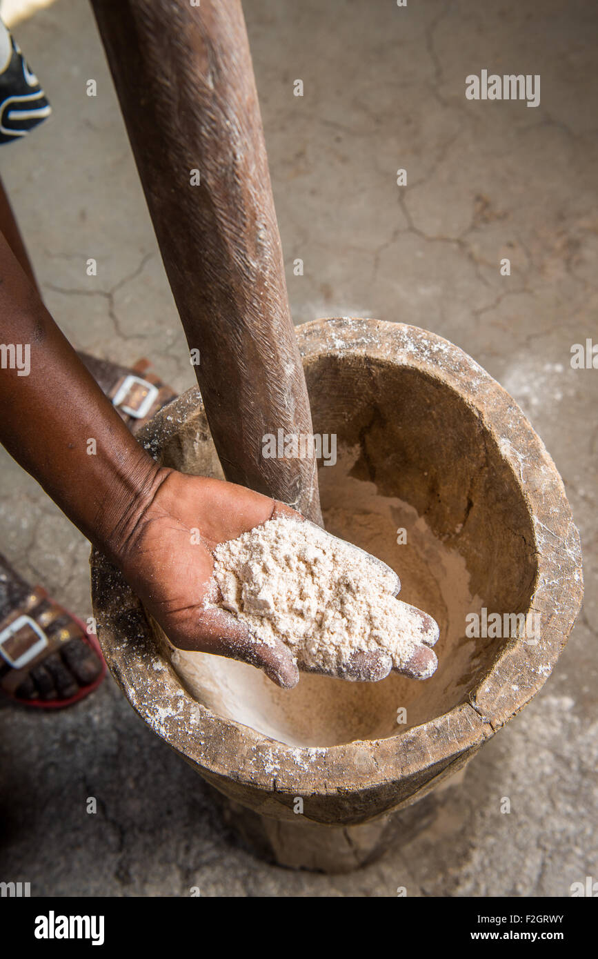 Woman's hand showing sorghum meal after pounding with a mortar and pestle in Sexaxa Village in Botswana, Africa Stock Photo