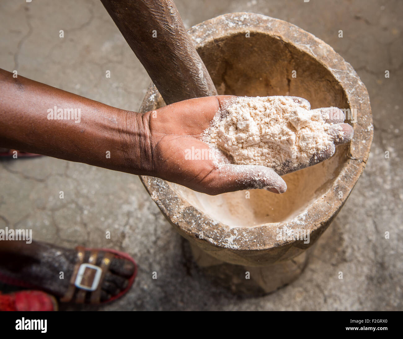 Woman's hand showing sorghum meal after pounding with a mortar and pestle in Sexaxa Village in Botswana, Africa Stock Photo