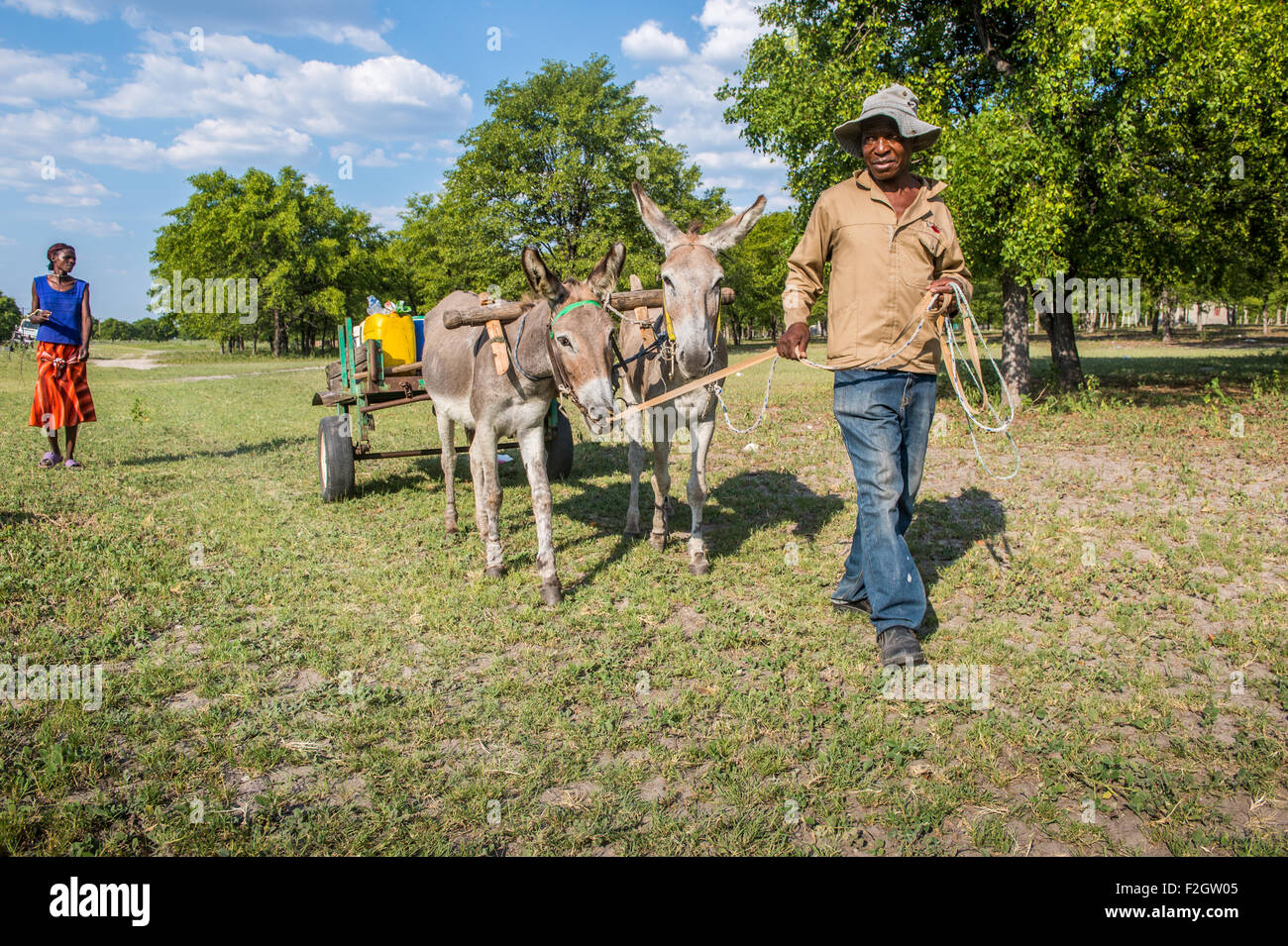 African people with donkeys pulling a cart in a rural area in Botswana, Africa Stock Photo