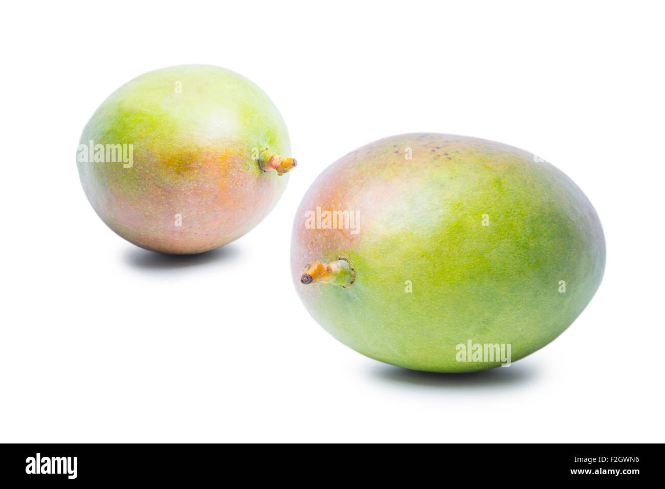 Two Mango fruits isolated on white background Stock Photo