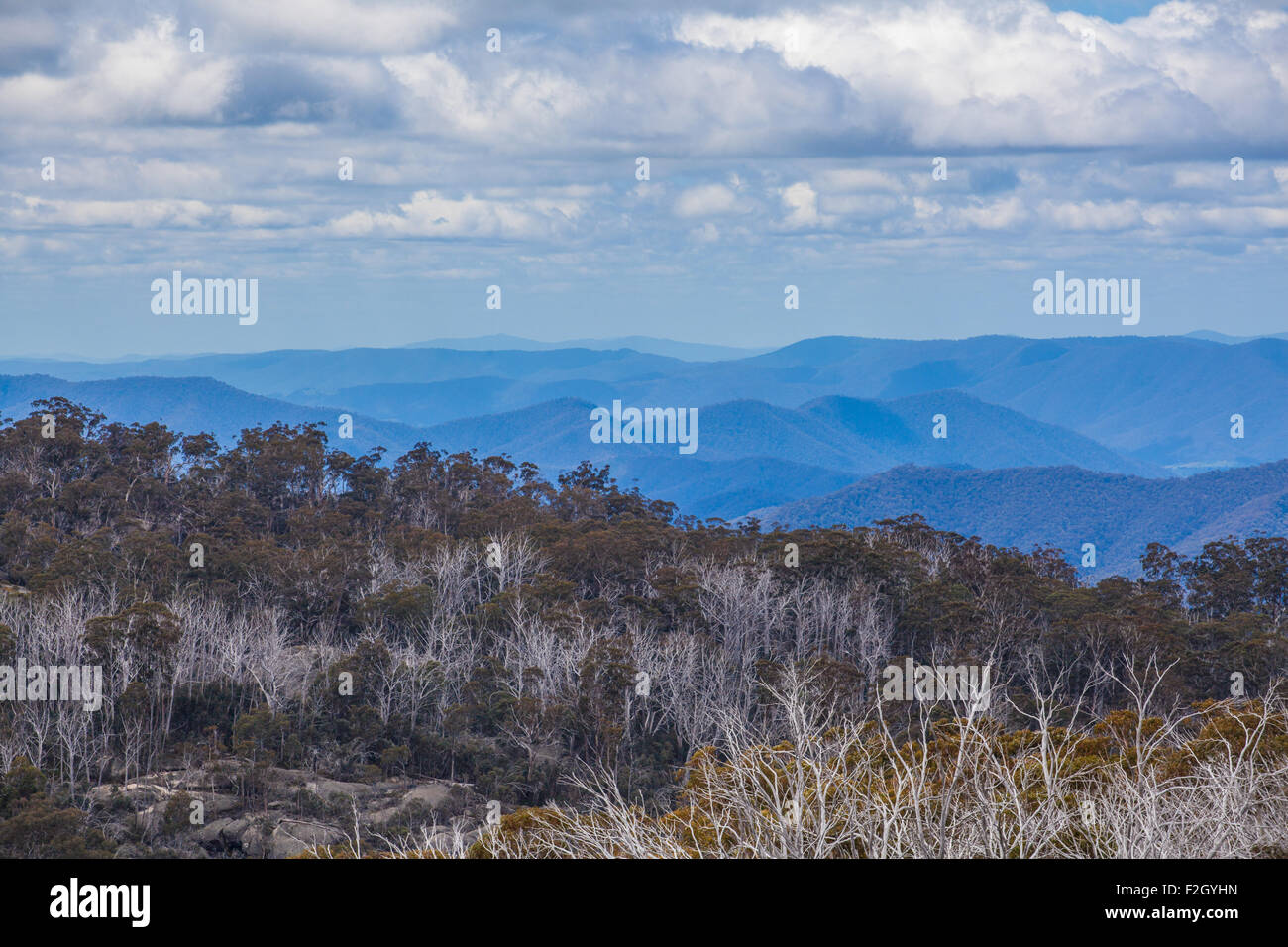 Australian Alps and Native Bush at Mount Buffalo National Park, Victoria Stock Photo